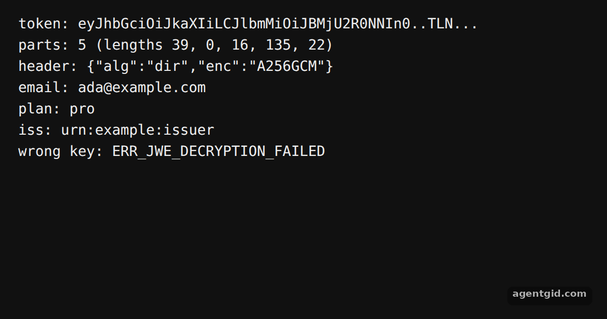 Encrypt and decrypt a JWT with jose: screenshot of the example running